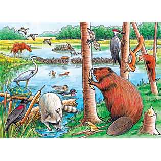 The Beaver Pond 35PC Tray Puzzle image 0
